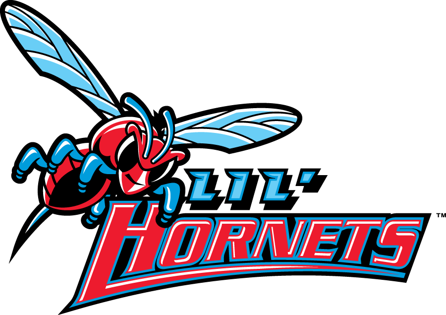 Delaware State Hornets 2004-Pres Misc Logo iron on transfers for clothing